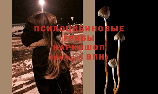 героин Алзамай