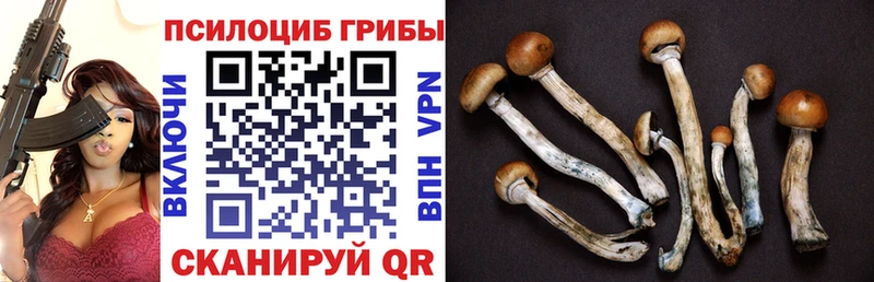 Галлюциногенные грибы прущие грибы  купить  цена  Чишмы 